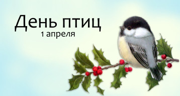 Международный день птиц Международный день птиц.