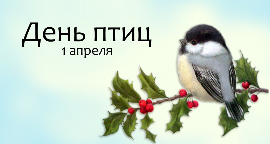Международный день птиц Международный день птиц.